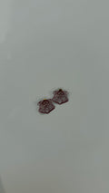 Dawgs earrings